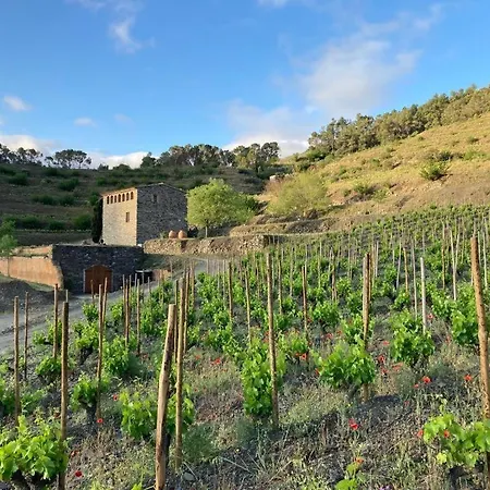 Сasa de vacaciones Wine-lovers - Raco Al Cor Del Prior Poboleda